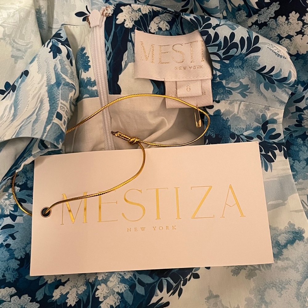 New Mestiza New York Louisa Sleeveless Toile Print Midi Dress size 6 - Picture 10 of 12
